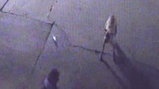 Gaziantep'te sokak köpeği kadına saldırdı