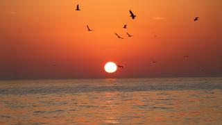 Tekirdağ'da gün doğumu