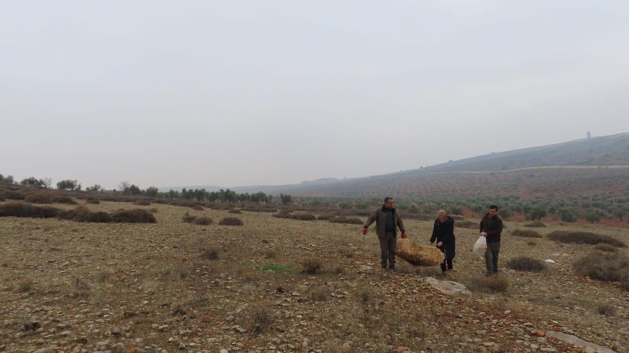 Kilis'te yaban hayvanları için doğaya yem bırakıldı