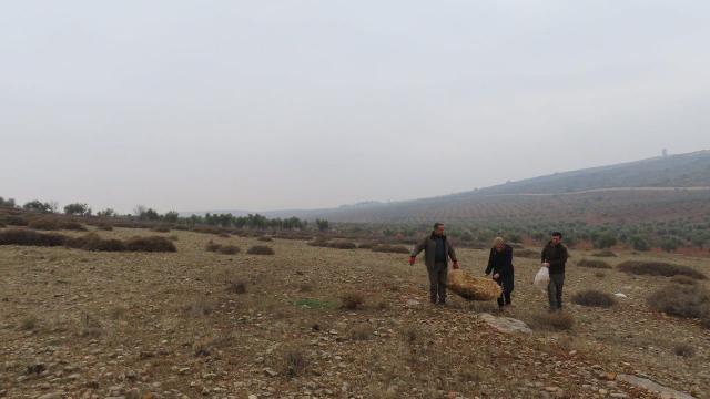Kiliste yaban hayvanları için doğaya yem bırakıldı