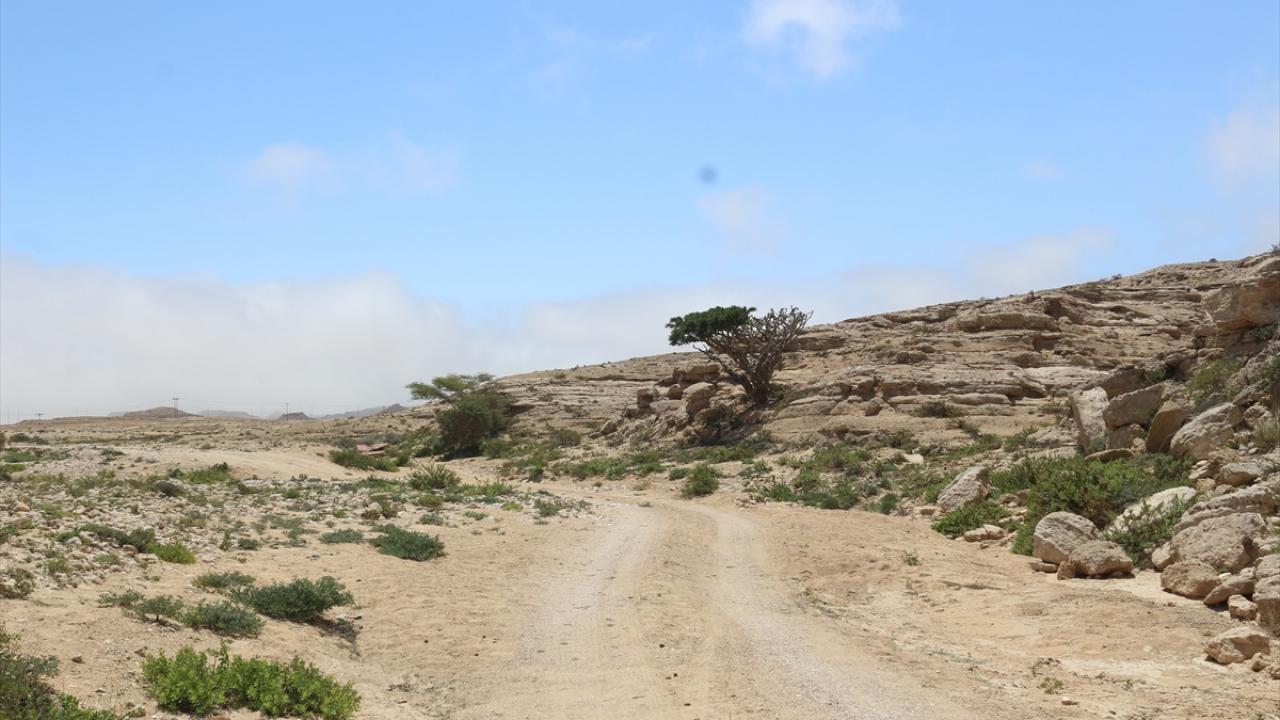 Antik dönemlere uzanan yolculuk