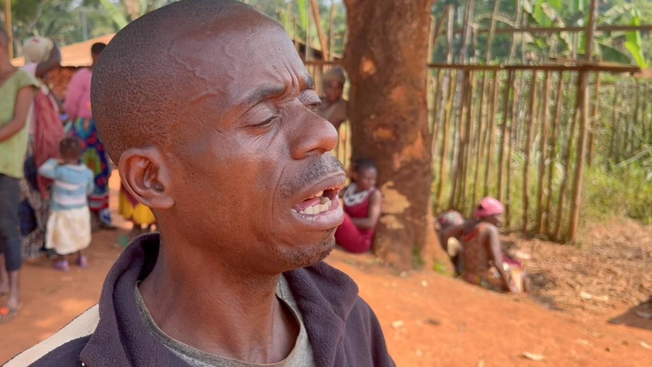 Pigmelerin yaşadığı yağmur ormanları kereste üretimi ve madencilik nedeniyle hızla tükeniyor. 