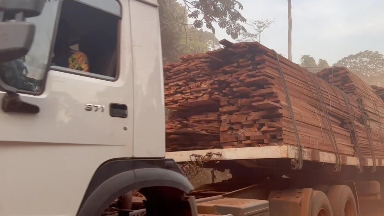 Devlet ormanlara girişimizi yasakladı"