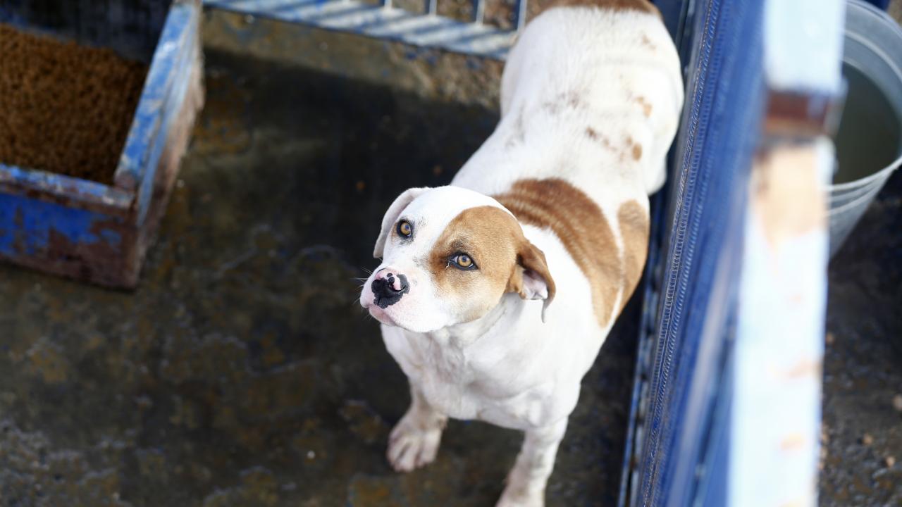 Vatandaşlara uyarıda bulunan Bacak, şunları kaydetti: