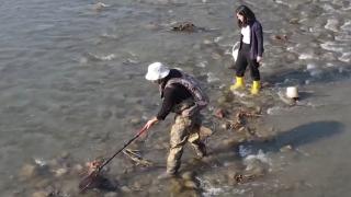 Neslinin tükendiği sanılıyordu, Batman'da tespit edildi