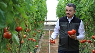 Bakan Pakdemirli tarım alanlarında inceleme yaptı