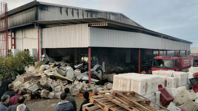 Hatayda depo yangını: Tonlarca narenciye zarar gördü