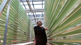 Yosunlardan jet yakıtı üretilen tesis: Avrupa'nın ilk ve tek karbon negatif biyorafineri tesisi