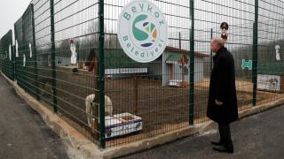 Cumhurbaşkanı Erdoğan'dan hayvan barınağına ziyaret