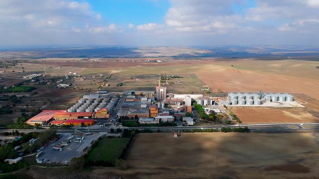 Trakya Birlik ayçiçeği ihtiyacının tamamını karşılayacak