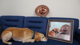 Şehit babası: Bir fotoğraf karesi, oğlum ile Atmaca'nın adını yaşattı