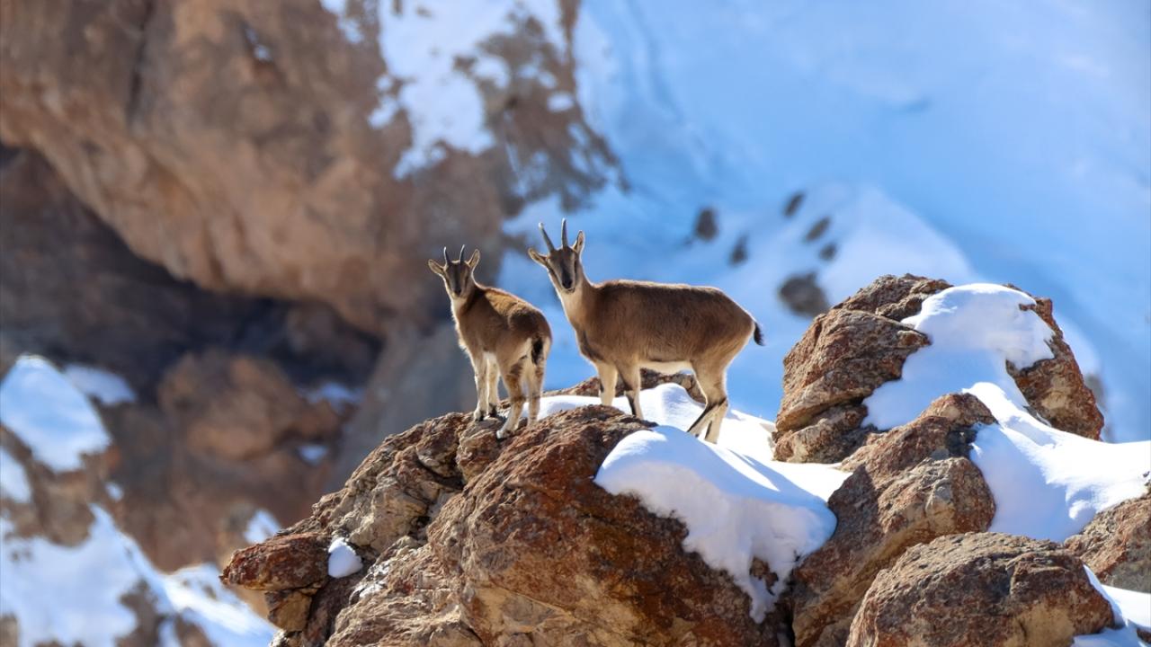 "Bu değere sahip çıkmamız lazım"