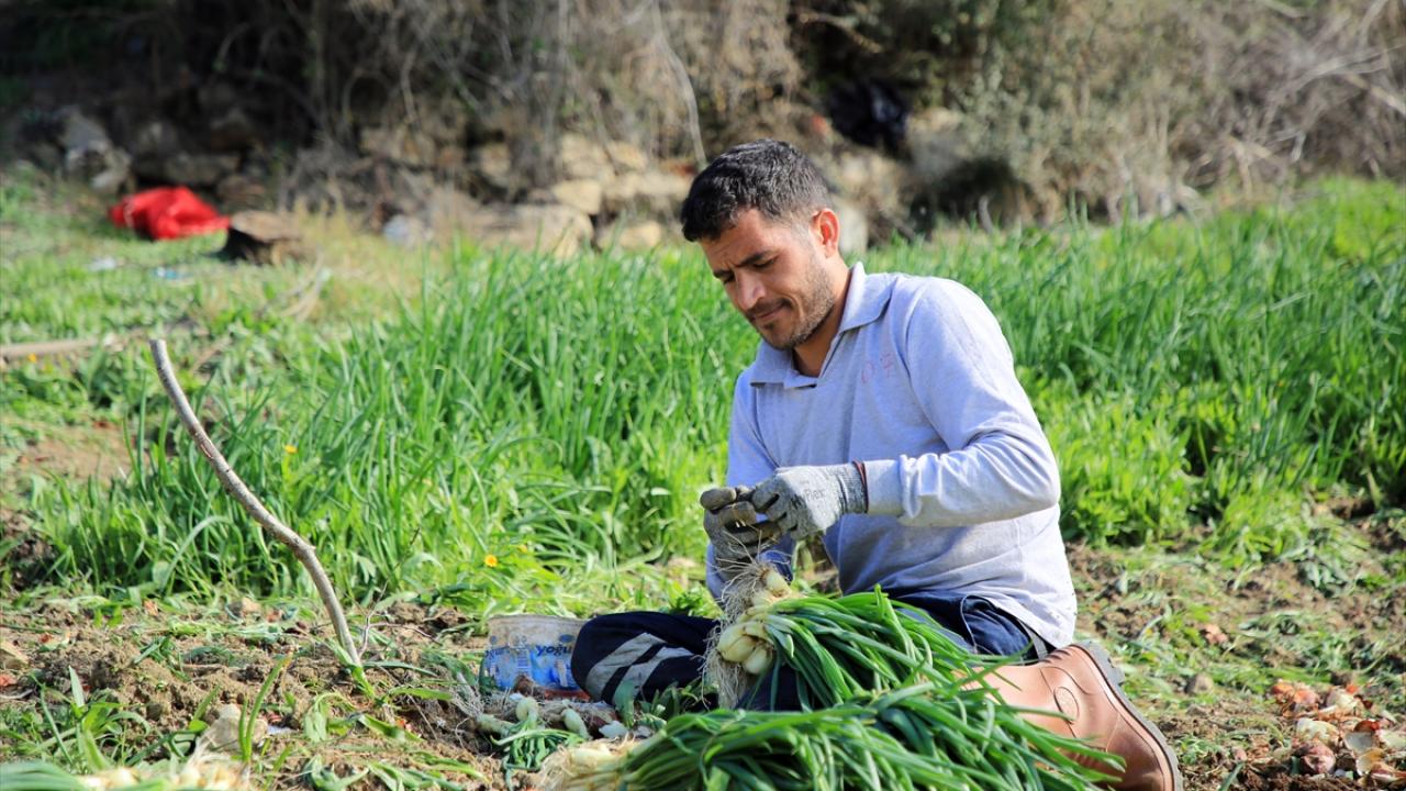 "Verimli bir yıl oldu"