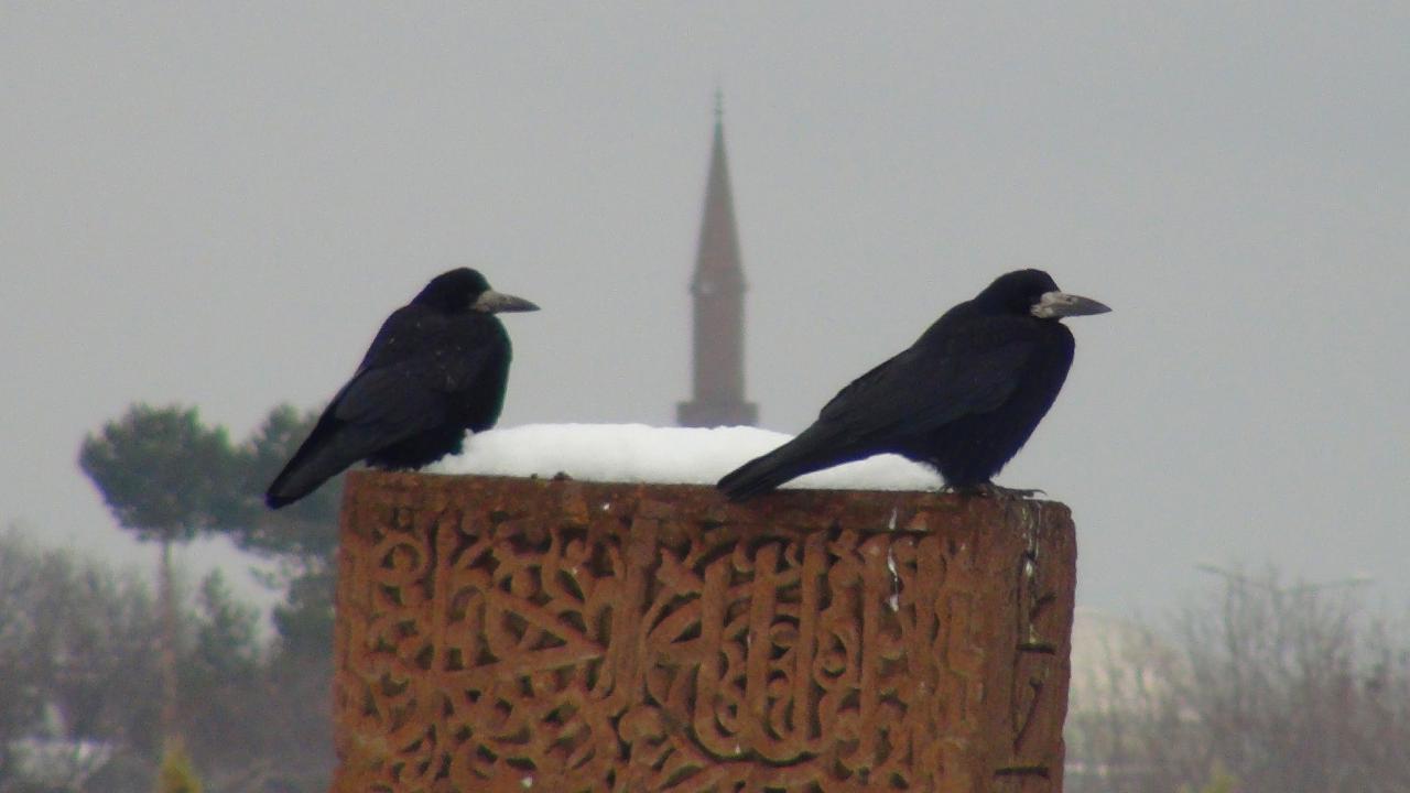 “Selçuklu Mezarlığında kar yağdıktan sonra harika görüntüler yakalayabiliyoruz”