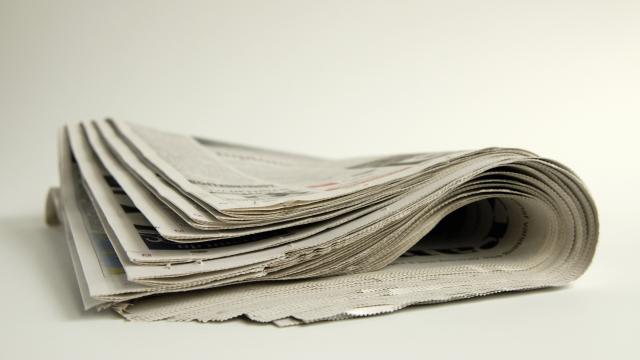 İsviçreli gazeteci PKKnın işkencelerini yazdı