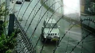 Aracını bilerek köpeklerin üzerine sürdü