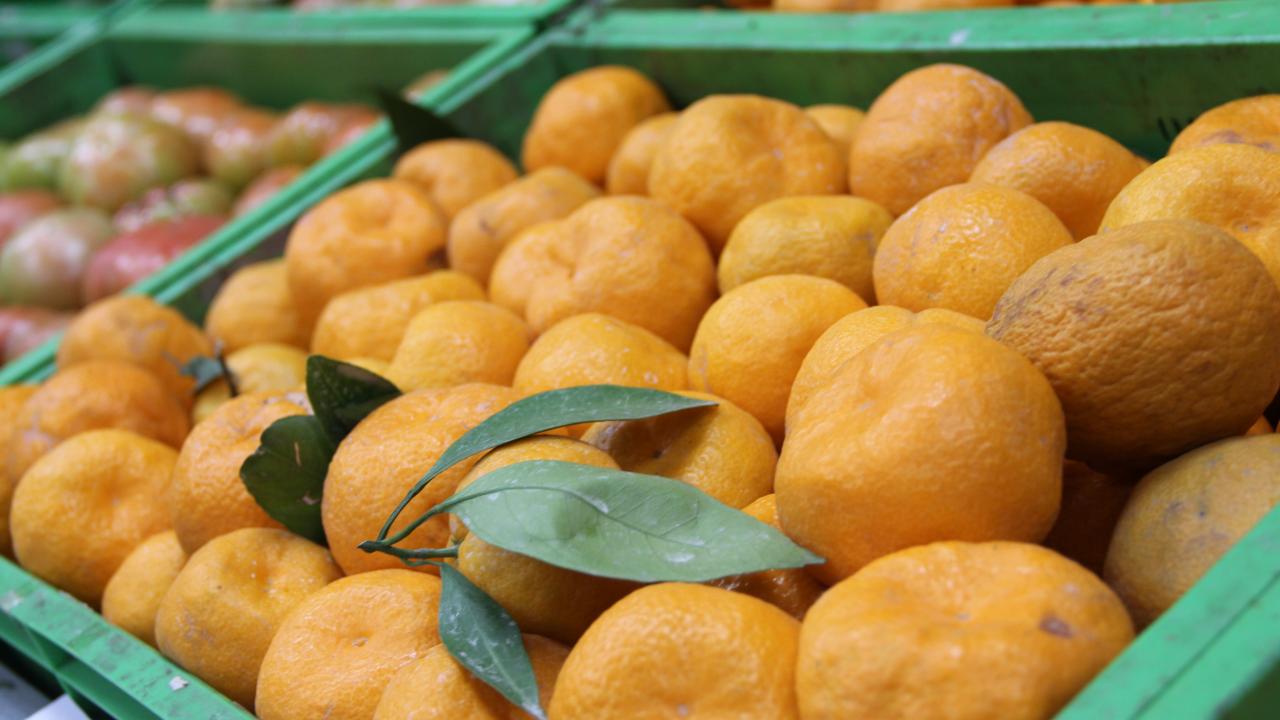 Zirai ilaç kalıntısı bulunan 6 bin 100 kilogram mandalina imha edildi