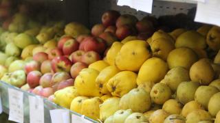 Yaş meyve ve sebze ihracatında Rusya ilk sırada