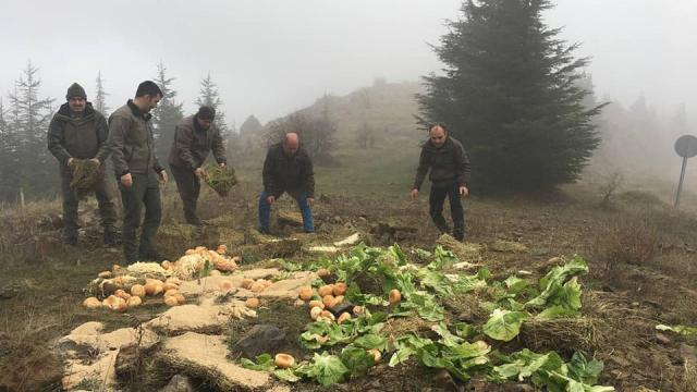 Gaziantepte yaban hayvanları için doğaya yem bırakıldı
