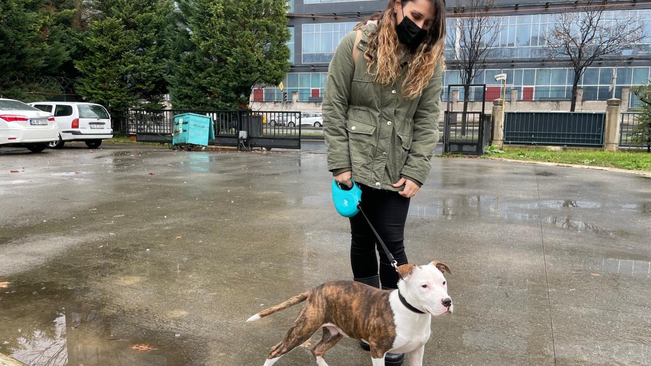 “Artık yasaklı değil yasal ırkız”