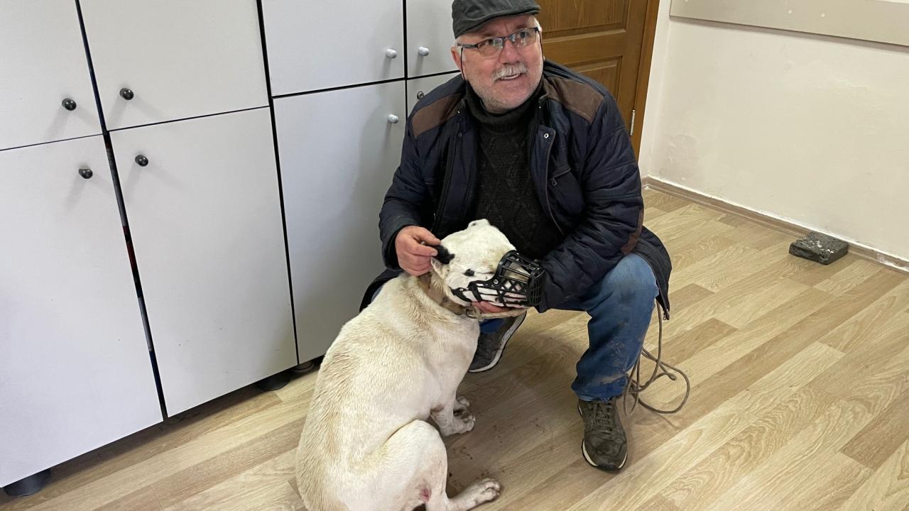 “Benim dört tane çocuğum var bu da beşincisi”