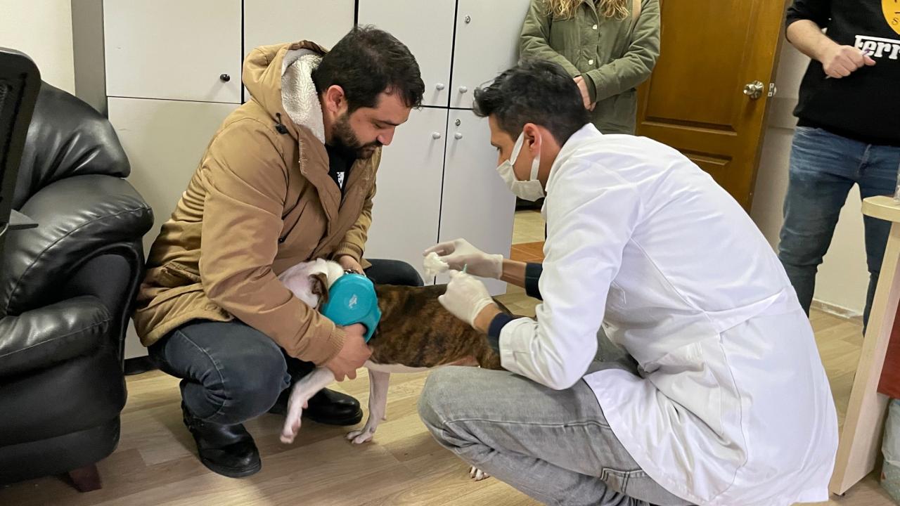 “Şu ana kadar ilimizde yaklaşık 6 bin adet köpek, 2 bin civarında da kediyi çipleyerek kayıt altına aldık”
