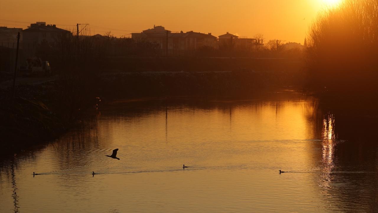Balık tutmaktan vazgeçmediler