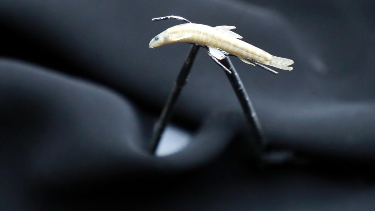 "Çok güzel sonuçlar aldık"