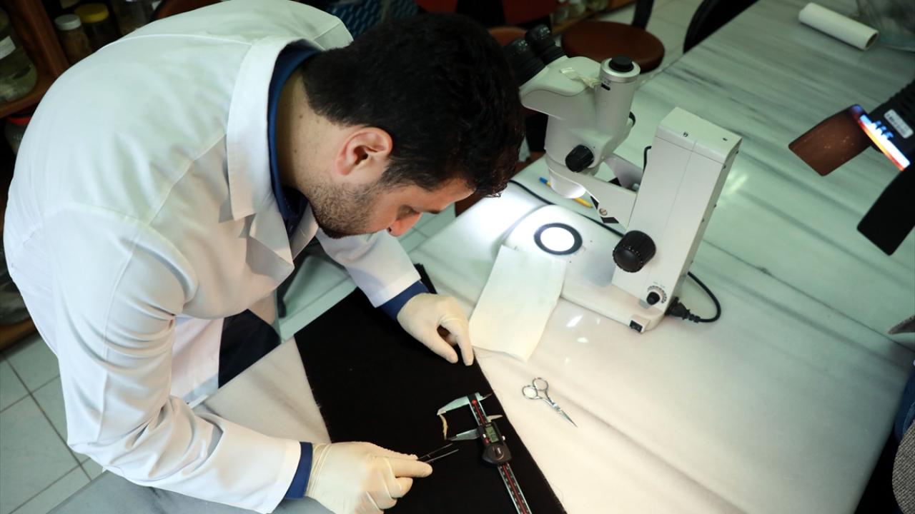 "DNA örneklerini GenBank`a yükleyeceğiz"