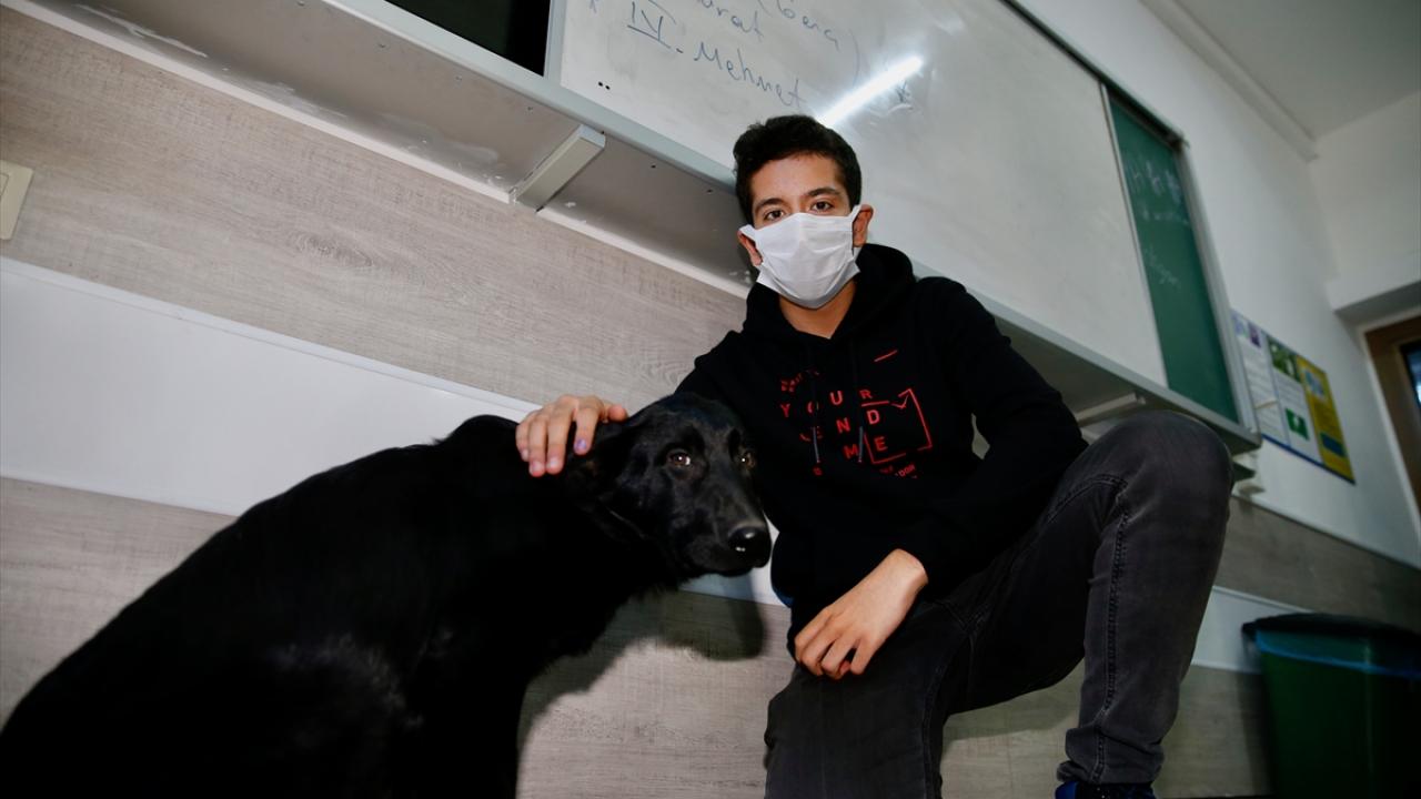 "Hayvan sevmeyen insanı sevemez"