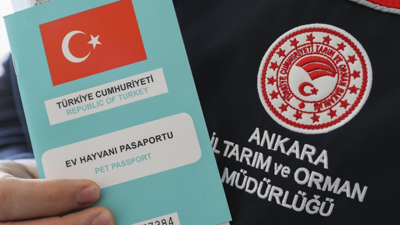 En çok kayıt İstanbul`da