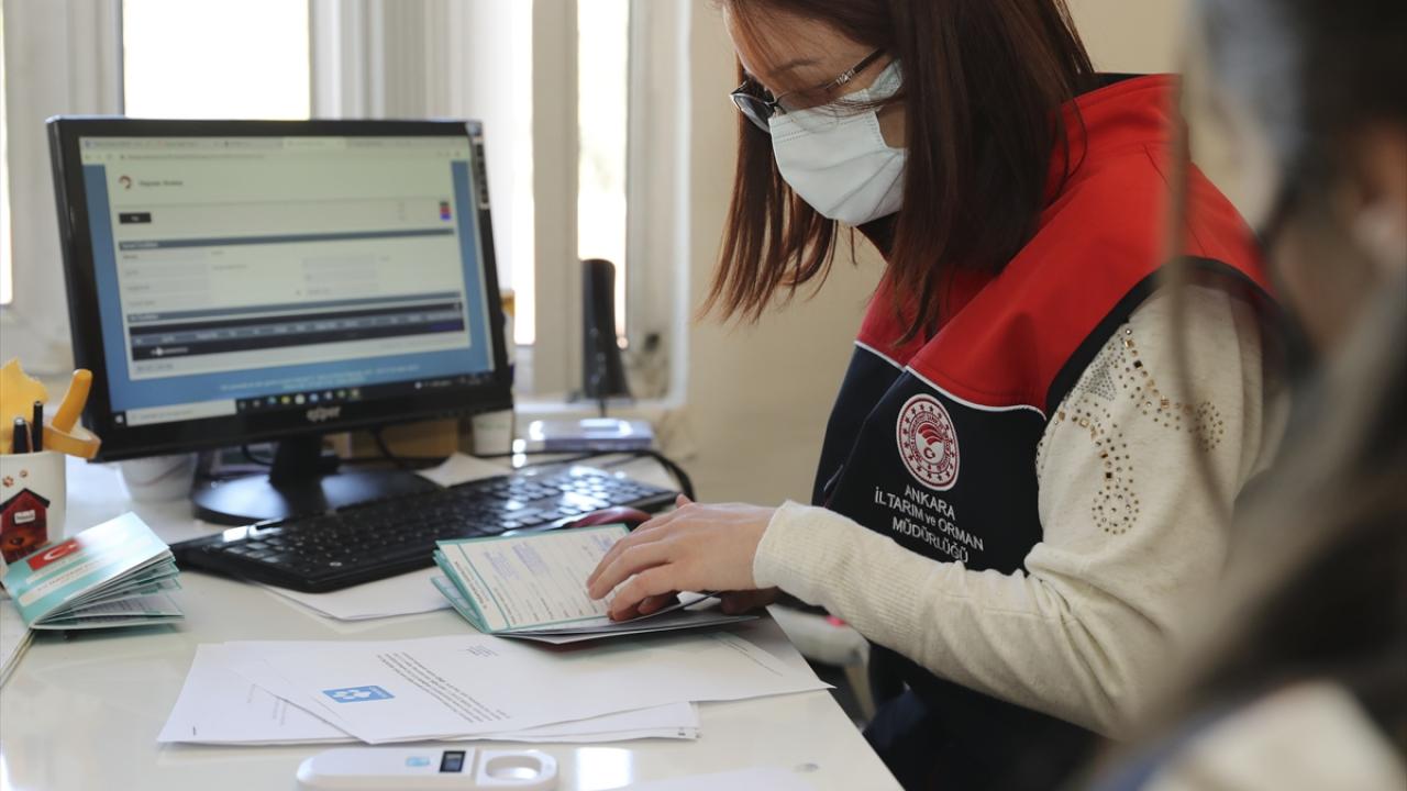 Sokağa terk edenlere 40 bin lira ceza