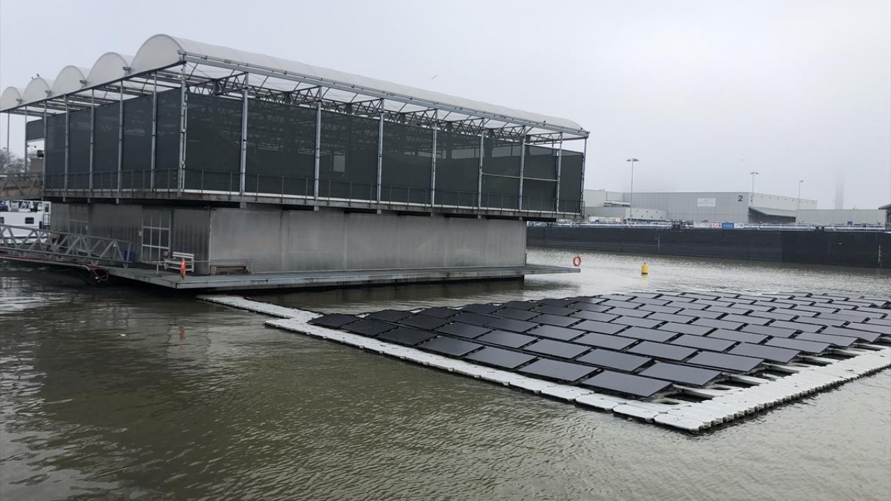 Sürdürülebilir çiftçiliğin "ilk" örneği