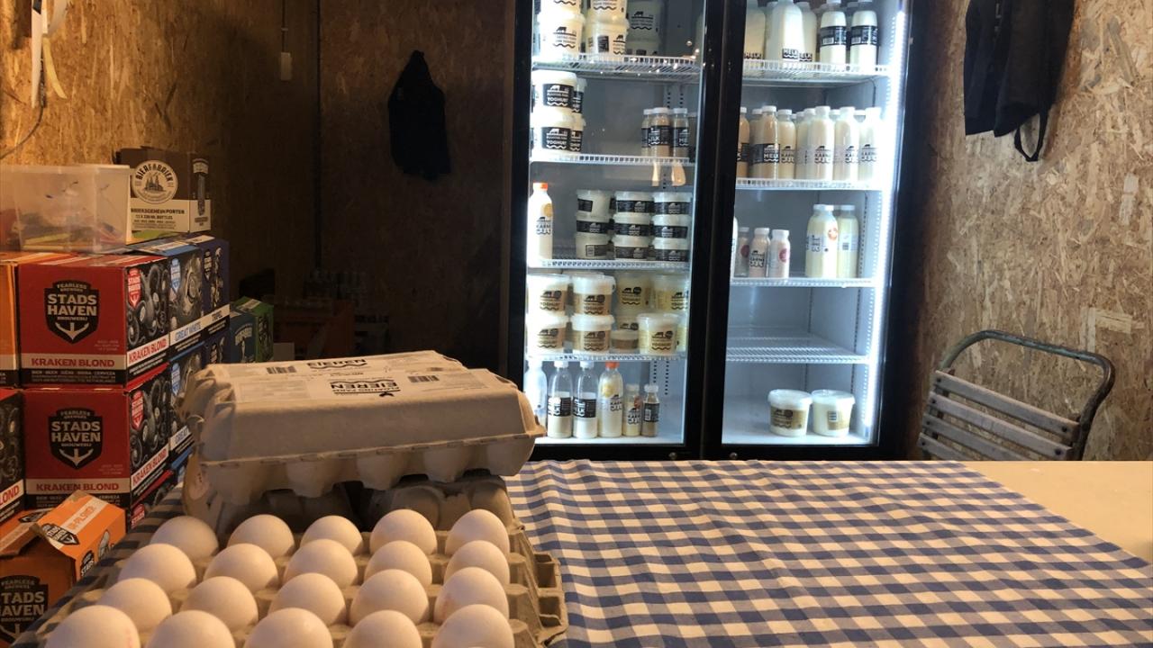 Geri dönüşüm sistemi maliyetleri düşürüyor