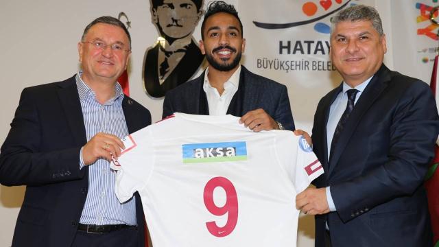 Hatayspora Mısırlı kanat
