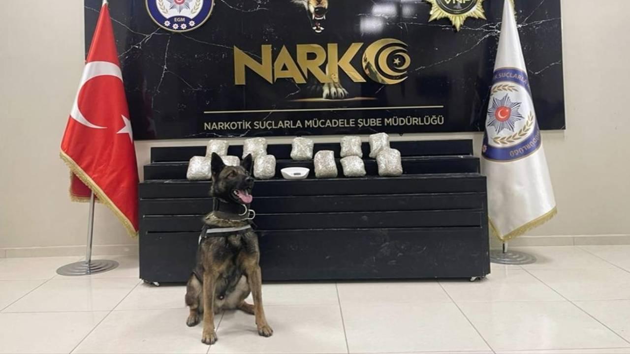 Van'da uyuşturucu operasyonu: 24 gözaltı