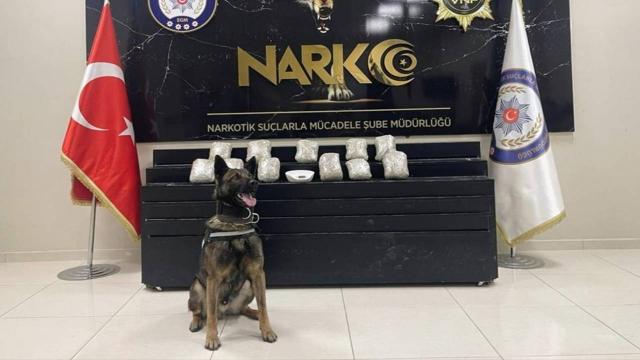 Vanda uyuşturucu operasyonu: 24 gözaltı
