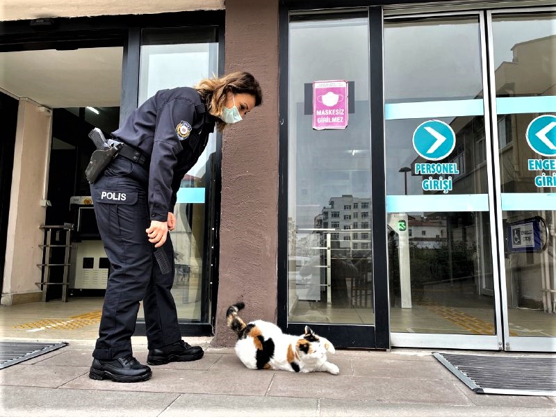 "Çocuklar özellikle çok seviyor, ilgileniyor"