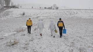 Kar kış demeden aşı yapmak için çalışıyorlar