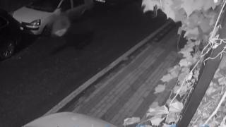 Otizmli gencin köpeğine kurşun yağdırdı