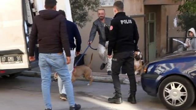 Antalyada pitbull cinsi köpeğin saldırdığı kişi yaralandı