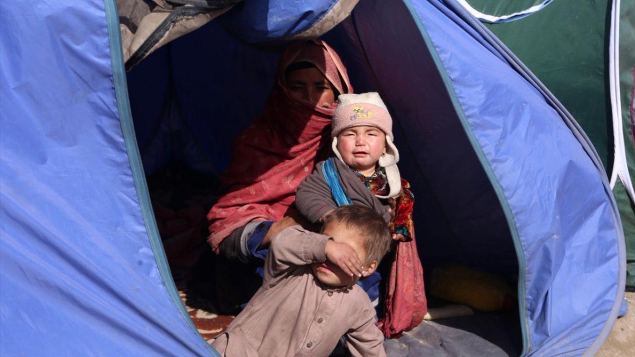 Çoğunluk yazlık çadırlarda yaşıyor