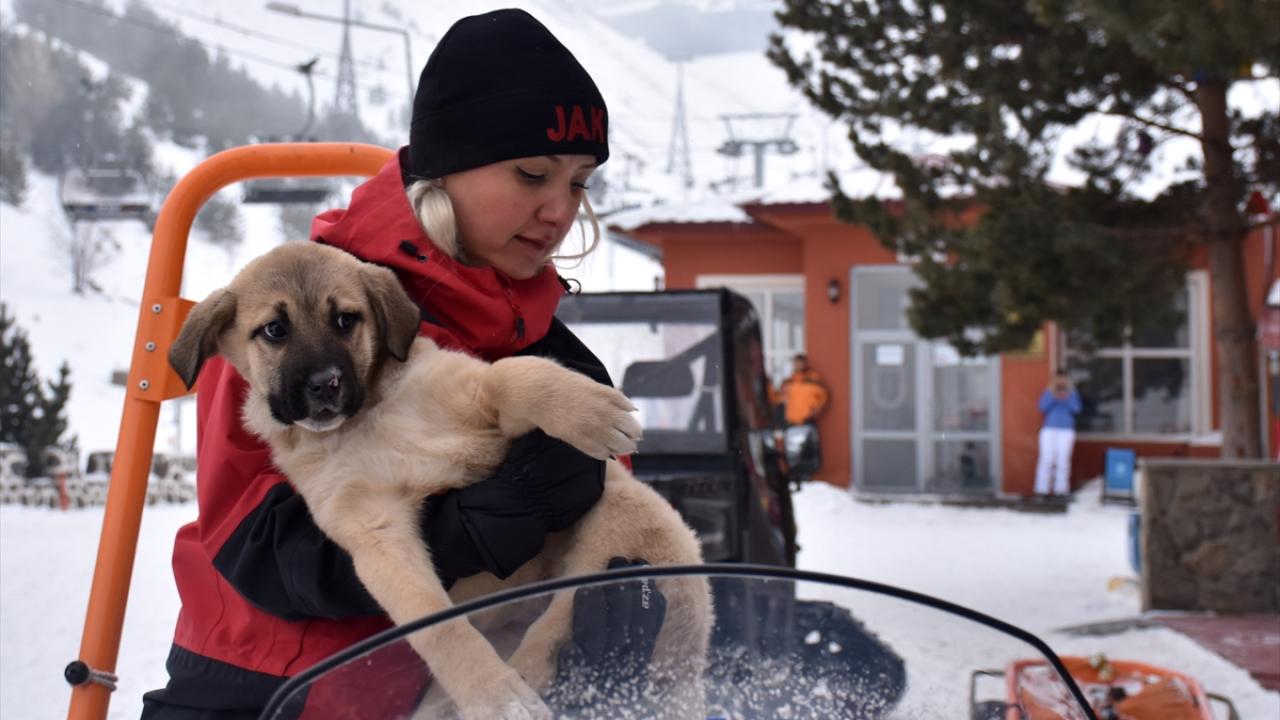 Kadın jandarma personeli köpek yavrusunu kucağından indirmedi