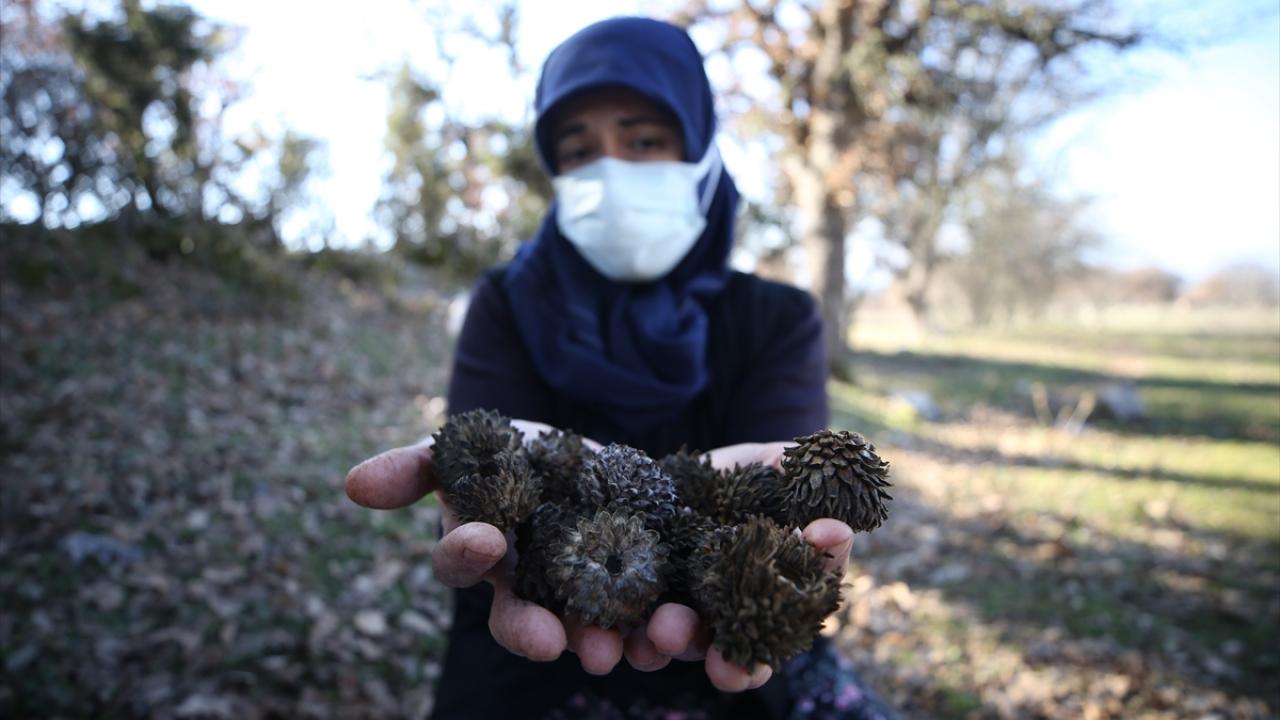 "Babamız bu işi yaparak bizi okuttu"