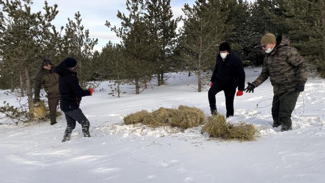Ardahanda yaban hayvanları unutulmadı