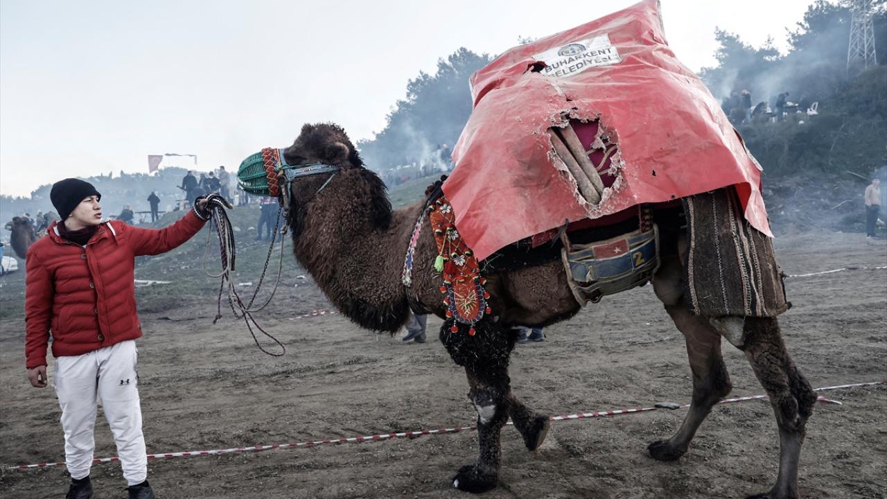 "Hayvanların birbirine zarar vermemesi için gerekli tüm tedbirler alınıyor"