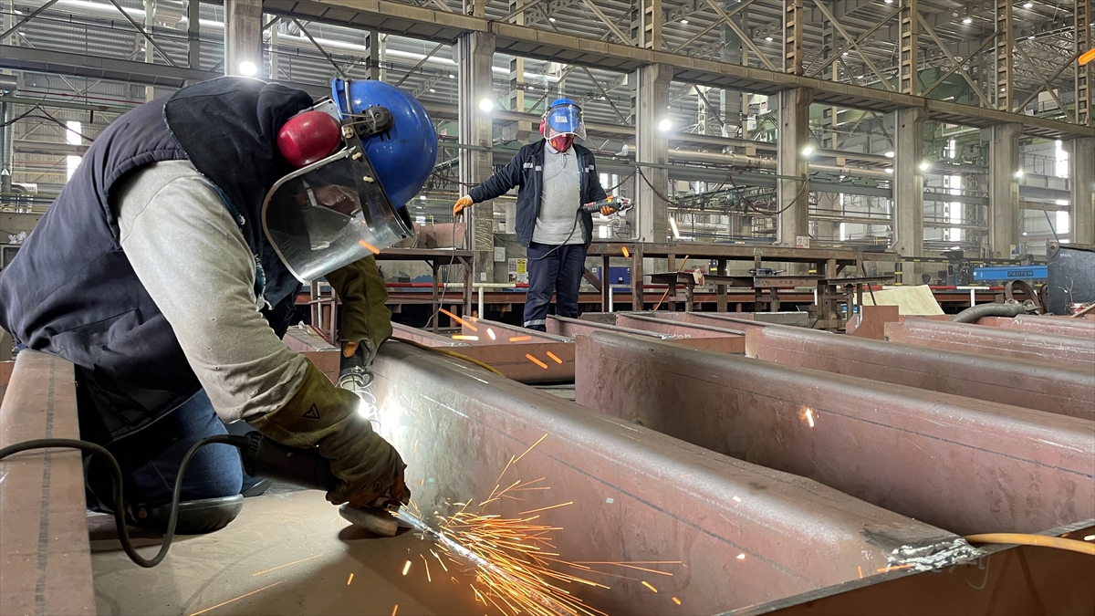 Aslan payı Norveç`in