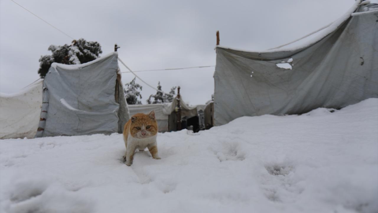 “Çadırımız kullanılamaz hale geldi