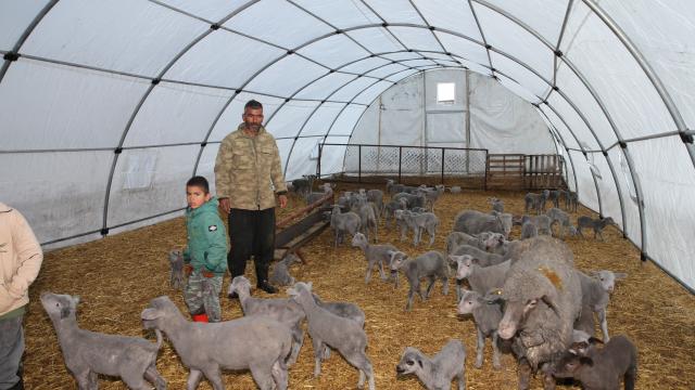 AFADdan Hataylı besicilere çadır desteği