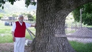 Türkiye'nin 'Toprak Dede'si vefatının ikinci yılında yad ediliyor